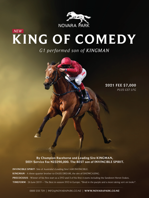 Son of young sire sensation Kingman to Novara Park