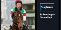 Sire of Staphanos -Deep Impact is dominant!
