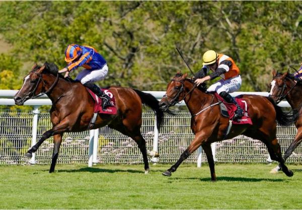Deep Impact filly dominant in Britain
