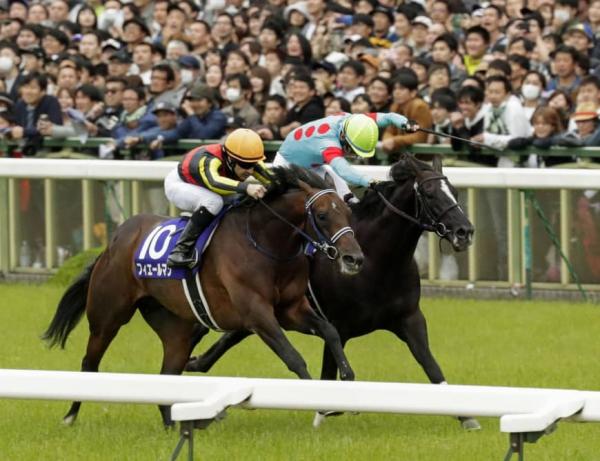 Deep Impact- one and two in the Tenno Sho!