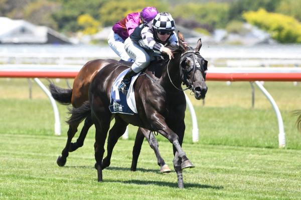 Sweynesse stakes double in Australia.