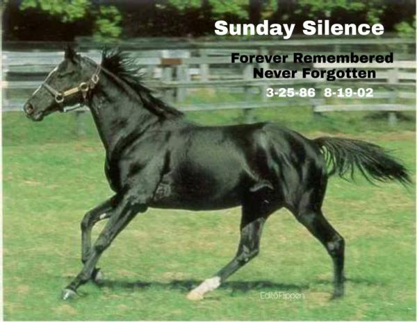 The result that would Silence any horse breeder!