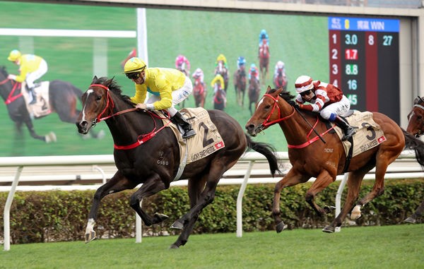 Hong Kong Super Star for Sweynesse