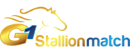 Goldmine Stallion Match - Sweynesse