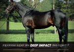 Deep Impact - Dominant