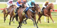 Guineas goal for smart Sweynesse filly