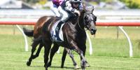Sweynesse stakes double in Australia.