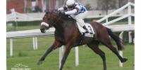 General Sherman easily takes the Listed Premio Gardone in Italy