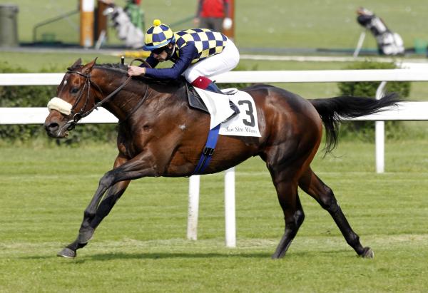 First Jakkalberry Yearlings at NZB Karaka Sales 2017