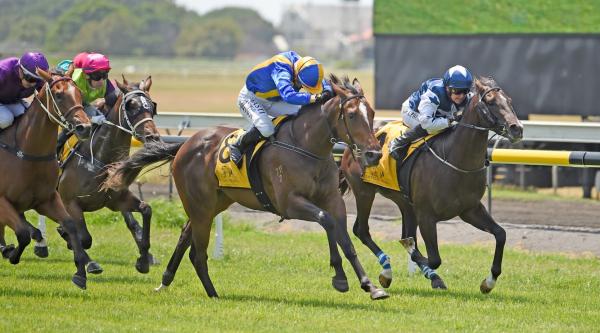 First Stakes winner for Sweynesse