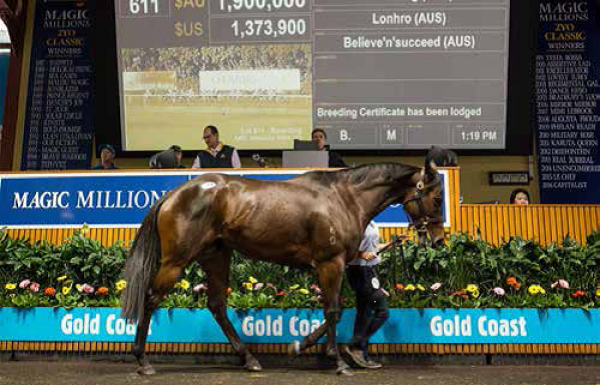 Lonhro mares tops broodmare sale at AUS$1,900,000