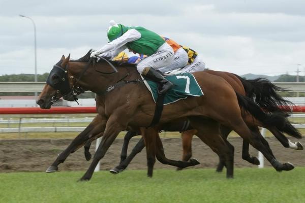 New Stakes-winner for Sweynesse