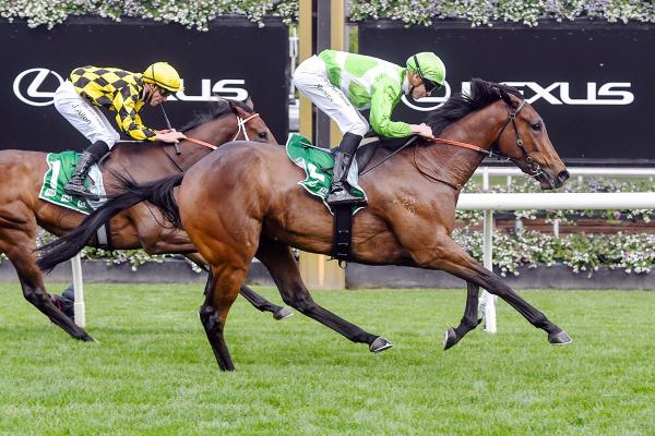 Novara's Express head toward Oaks