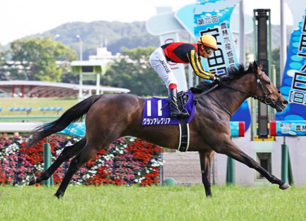 Deep Impact filly claims Group One Sprinters Stakes