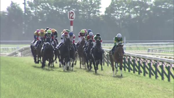 Deep Impact one and two in Japanese Oaks