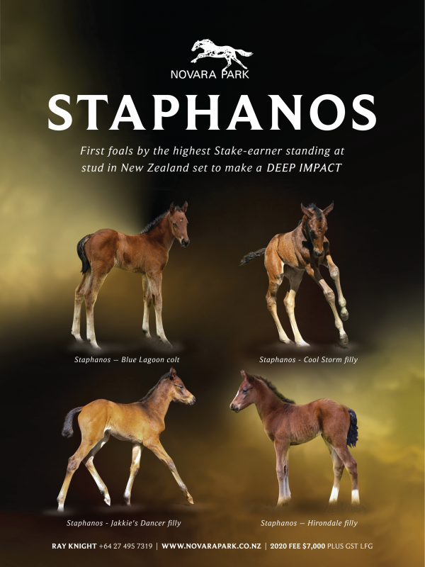 Big weekend for Sire of Staphanos