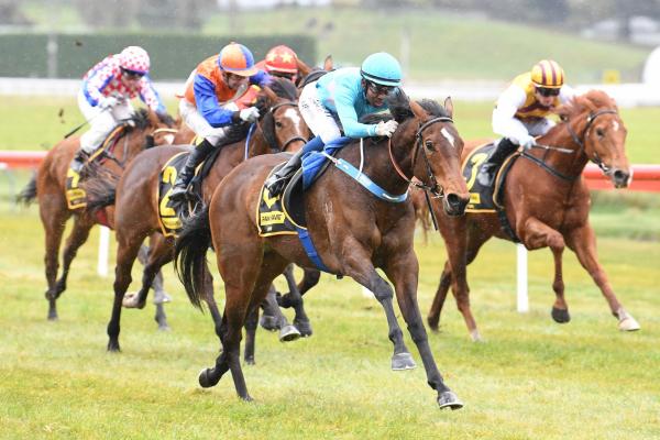 Guineas goal for smart Sweynesse filly