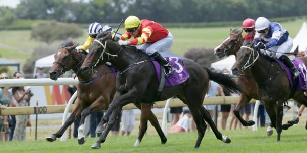 Trainer likes chances of Lonhro colt in Karaka Million 