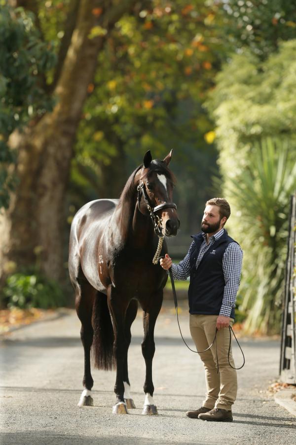 Huge weekend for sons of Lonhro.