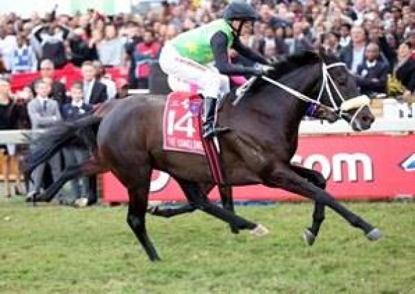 Group One to son of Lonhro