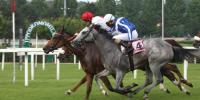 Joyful Hope in tight Oaks finish